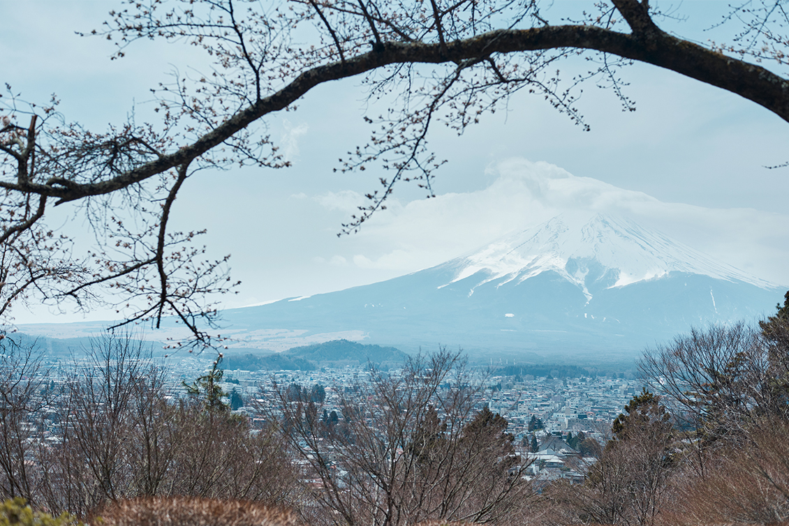 Dyed by Nature, Woven for Tomorrow