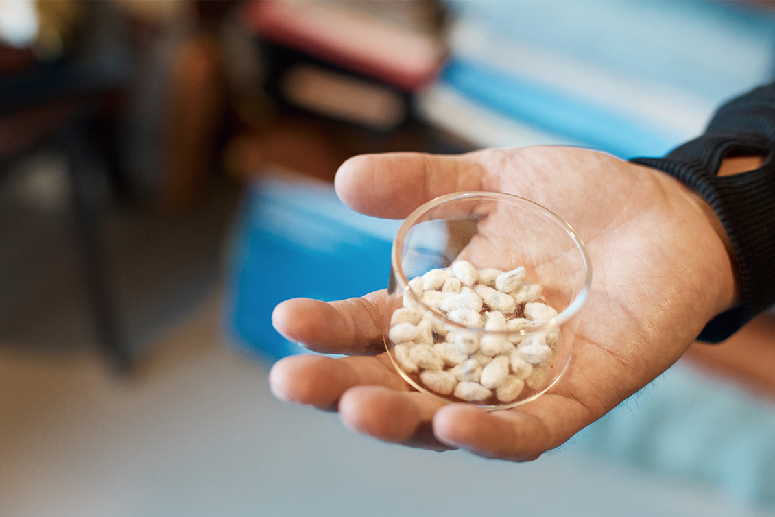 Dyed by Nature, Woven for Tomorrow